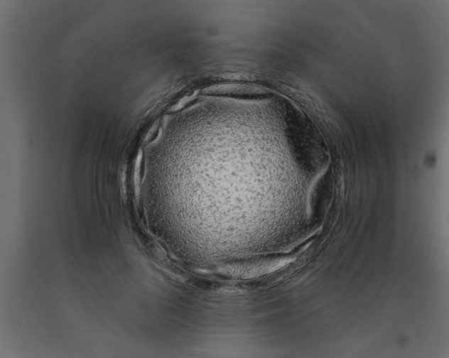 X0000090860696200708241859