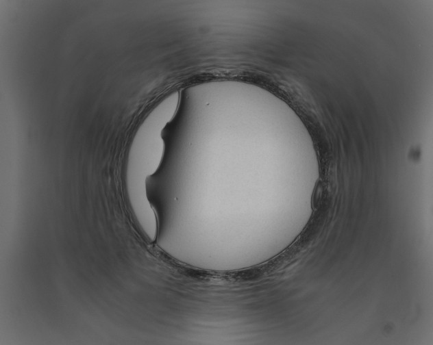 X0000090860697200708241859