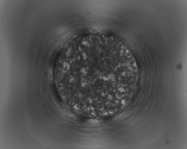 X0000090860699200708241859