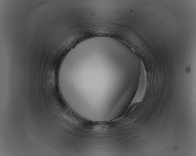 X0000090860700200708241859