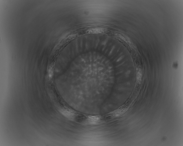 X0000090860701200708241859