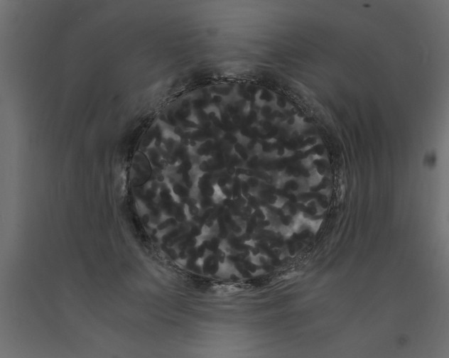 X0000090860703200708241859