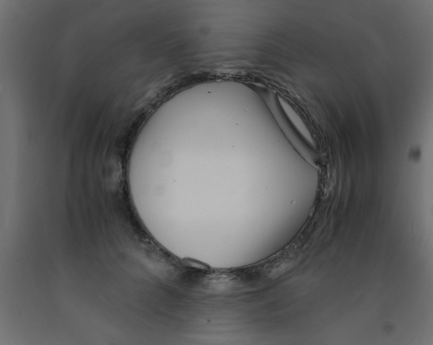 X0000090860704200708241859