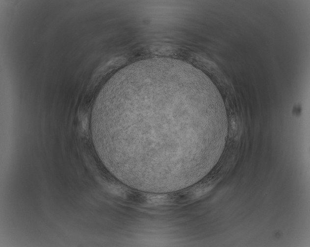 X0000090860705200708241859