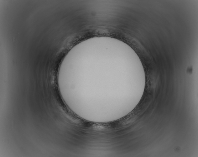 X0000090860706200708241859