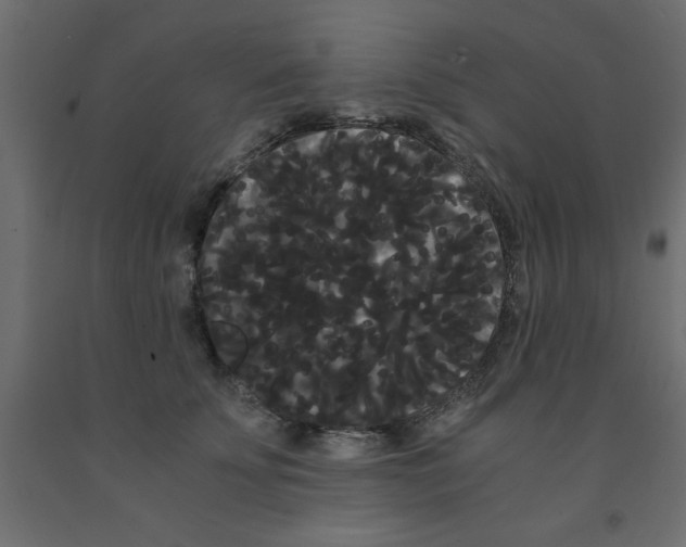 X0000090860707200708241859