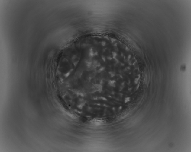 X0000090860711200708241859