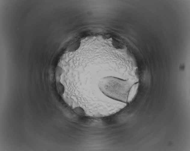 X0000090860715200708241858