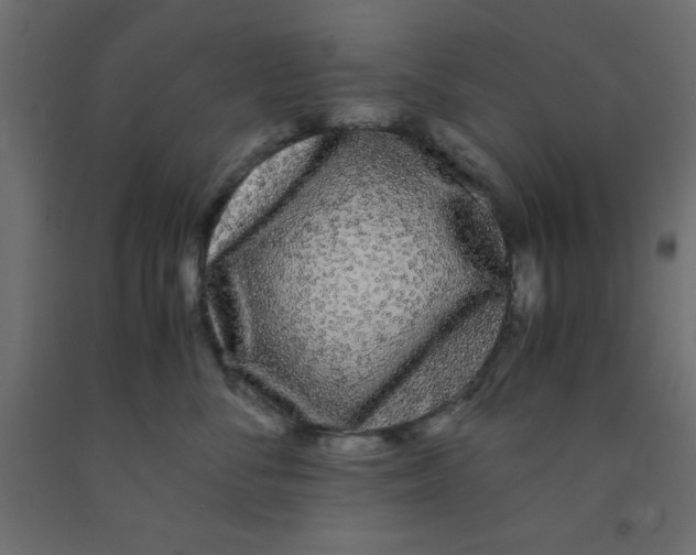 X0000090860716200708241858