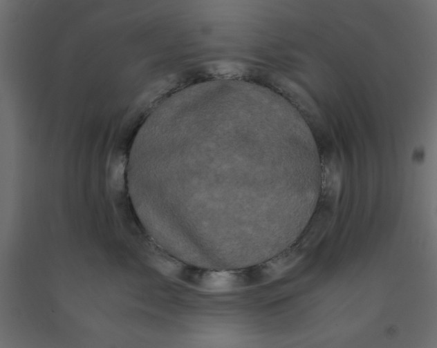 X0000090860717200708241858