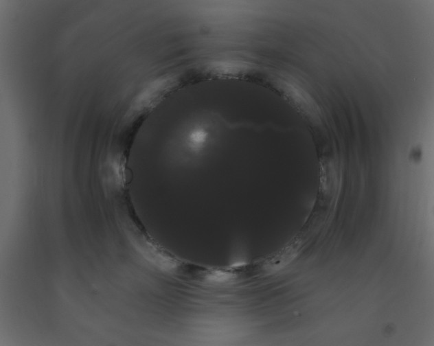 X0000090860718200708241858