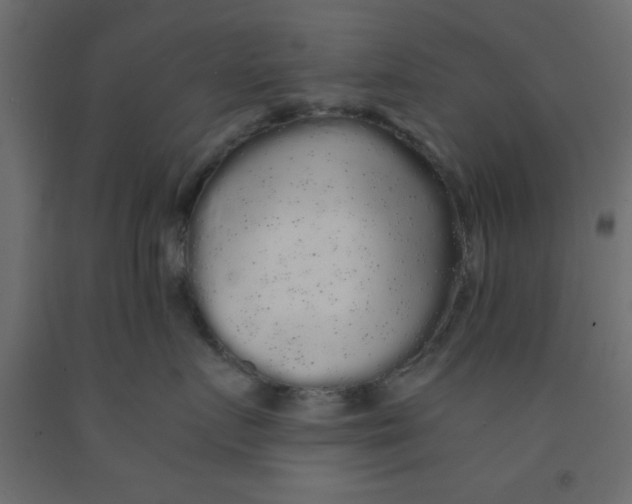 X0000090860719200708241858