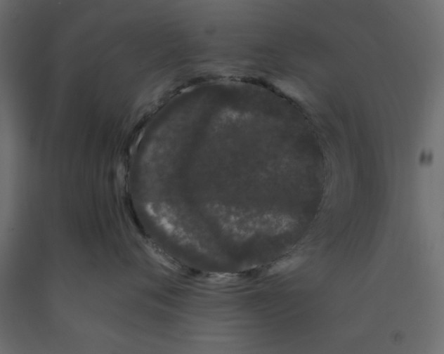 X0000090860720200708241858