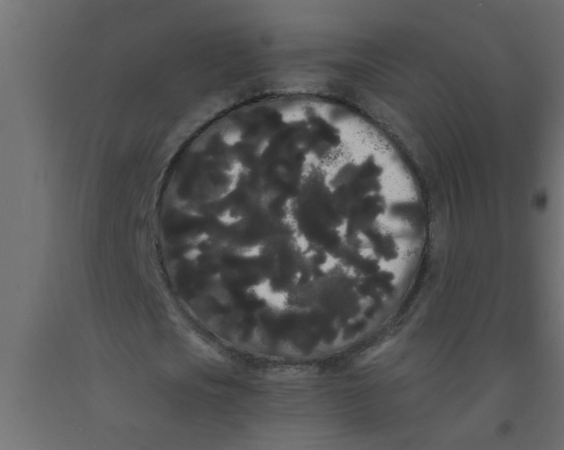 X0000090860721200708241858