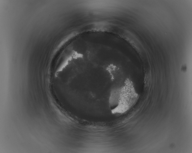 X0000090860722200708241858