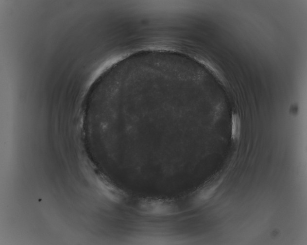 X0000090860723200708241858