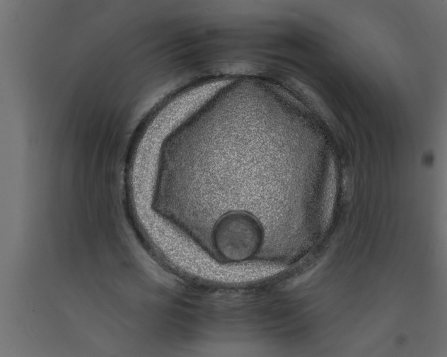 X0000090860725200708241858