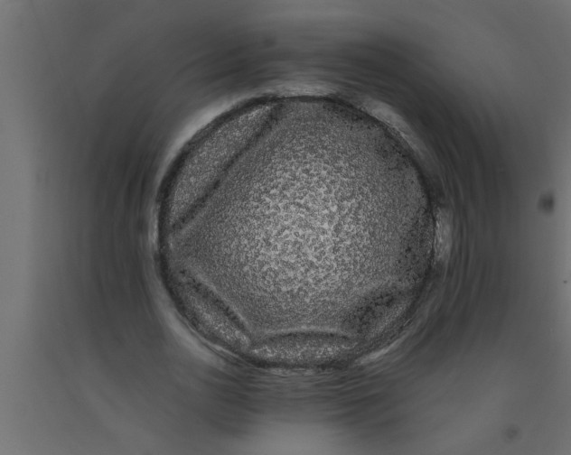 X0000090860726200708241858