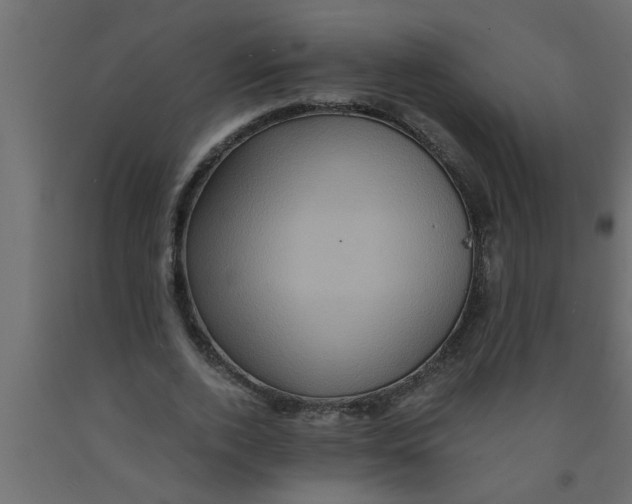 X0000090860728200708241858