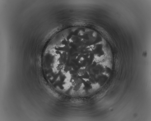 X0000090860729200708241858