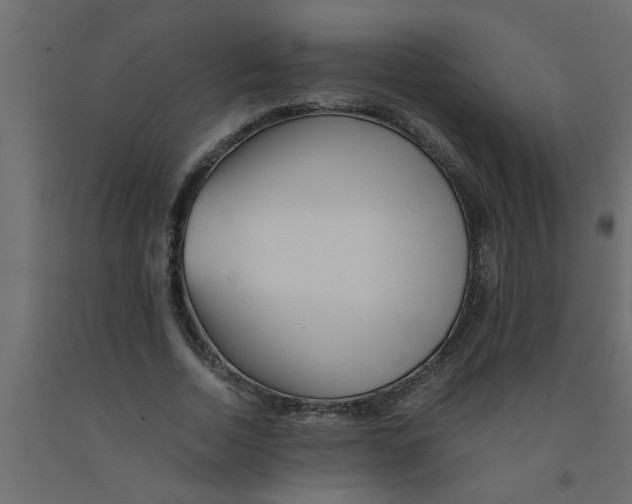 X0000090860730200708241858