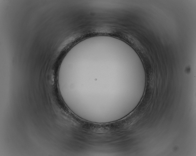 X0000090860731200708241858