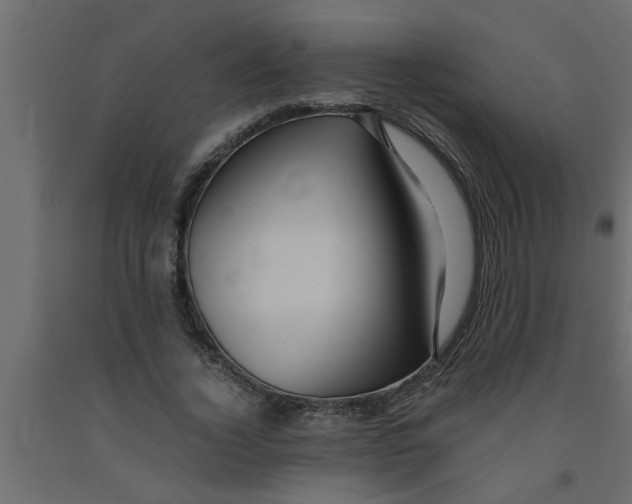 X0000090860732200708241858