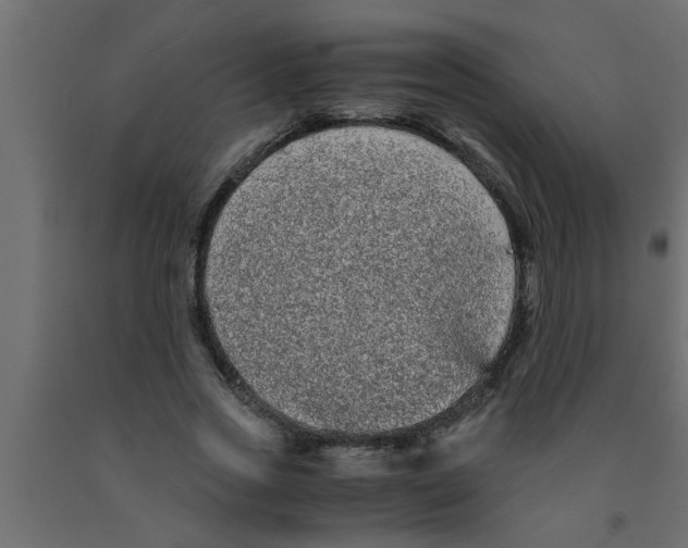 X0000090860733200708241858