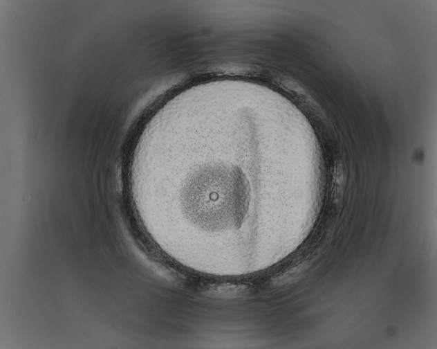 X0000090860734200708241858