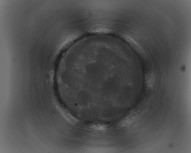 X0000090860735200708241858