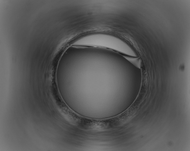 X0000090860736200708241858