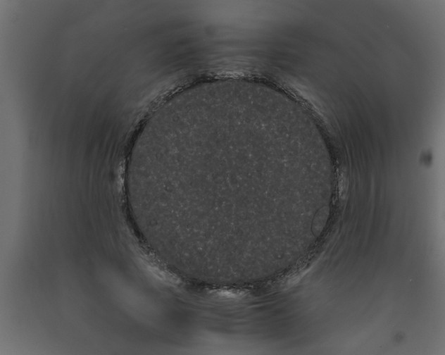 X0000090860737200708241858