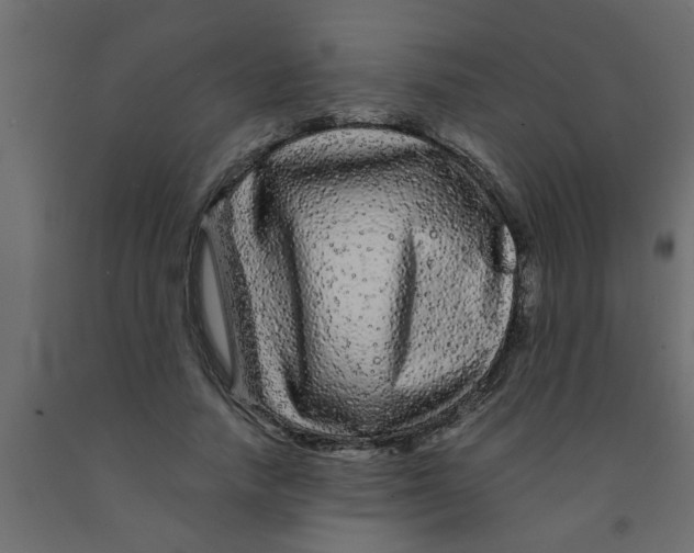 X0000090860738200708241858