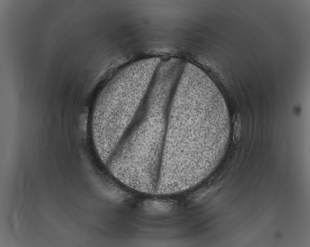 X0000090860739200708241858