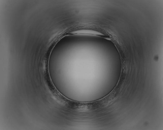 X0000090860740200708241858