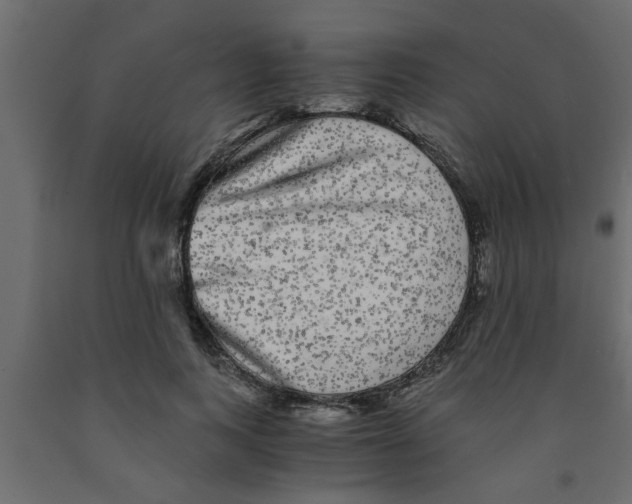 X0000090860743200708241858