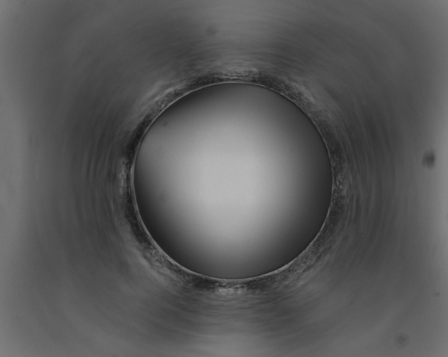 X0000090860744200708241858