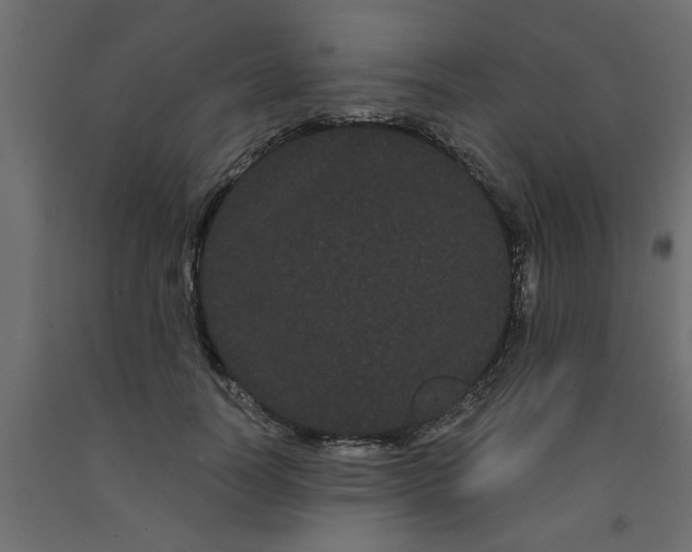 X0000090860746200708241858