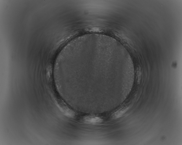 X0000090860747200708241858