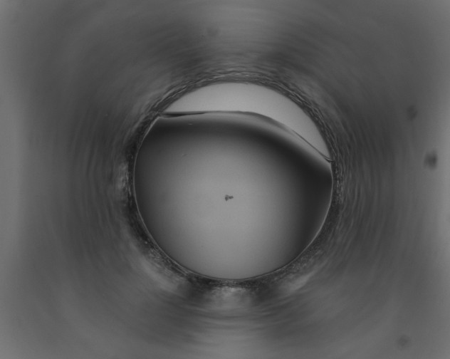 X0000090860748200708241858