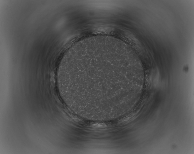 X0000090860749200708241858