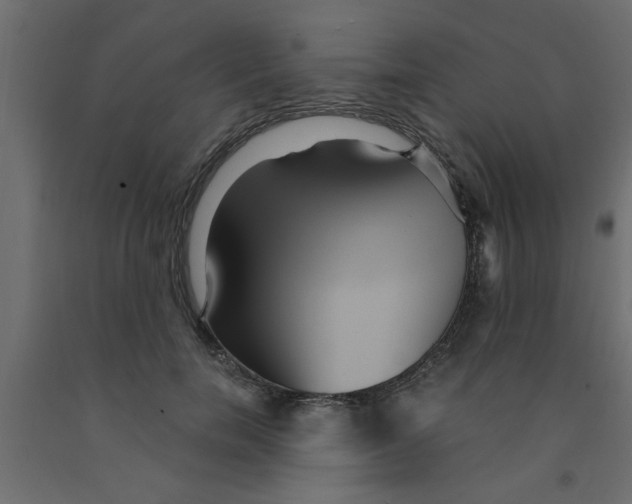 X0000090860750200708241858