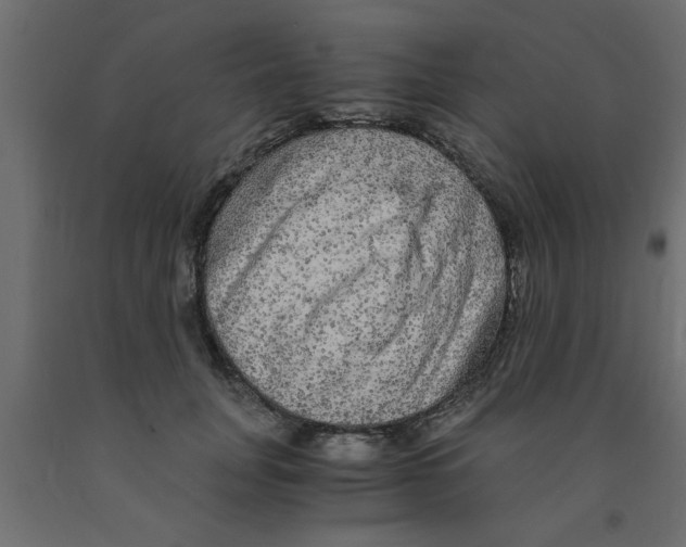 X0000090860751200708241858