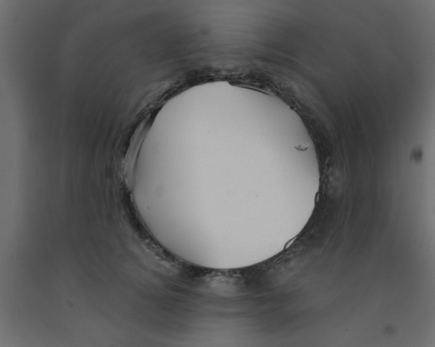 X0000090860756200708241858