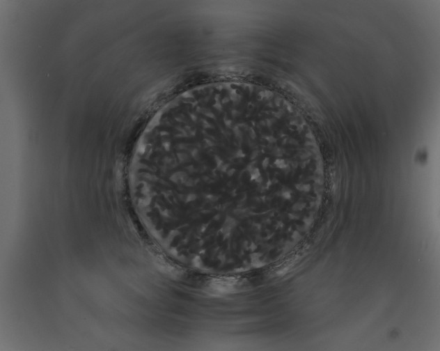 X0000090860757200708241858