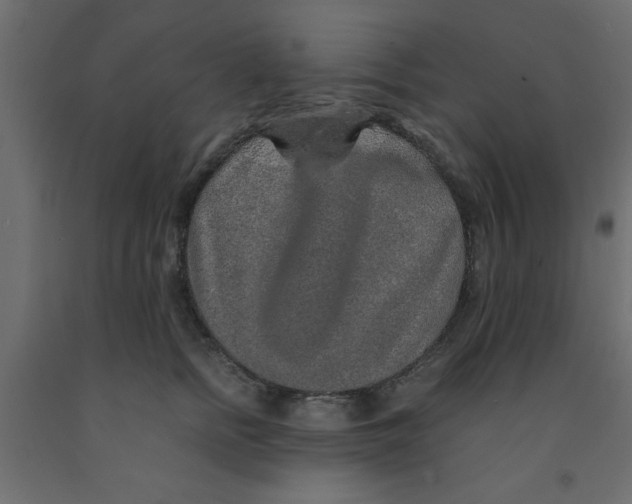 X0000090860758200708241858