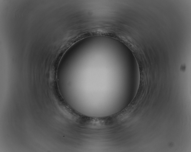 X0000090860760200708241858