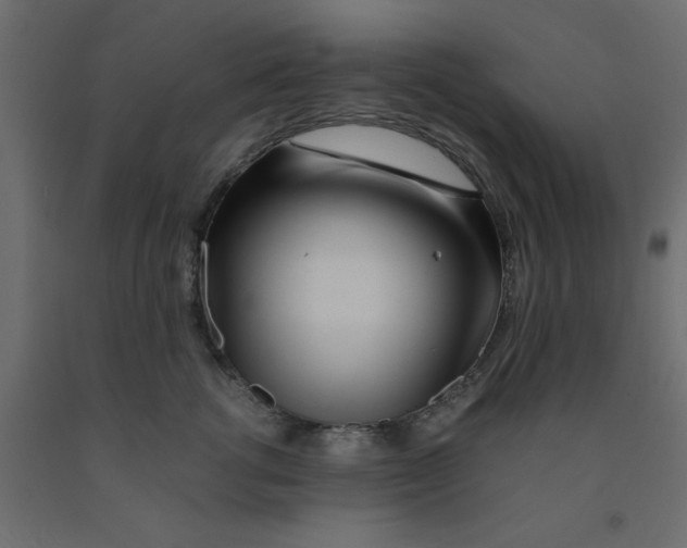 X0000090860762200708241858