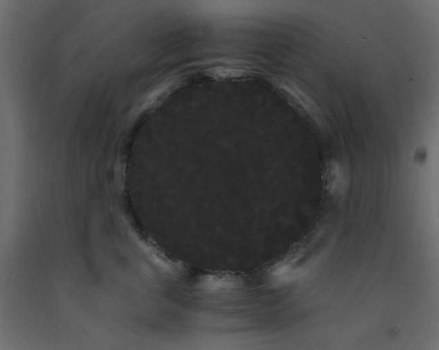 X0000090860763200708241858