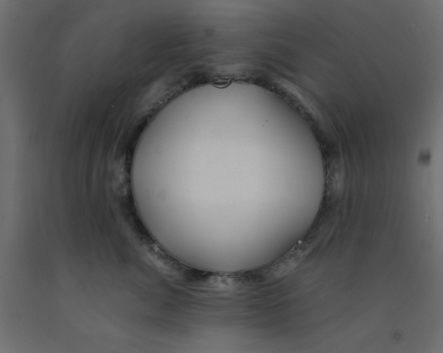 X0000090860764200708241858